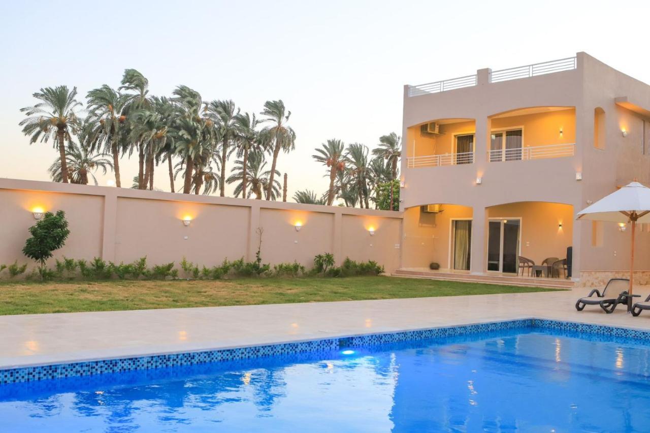 Royal Nile Villa - Pool View Apartment 1 Луксор Екстер'єр фото